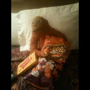 Meet your Posher, Warren